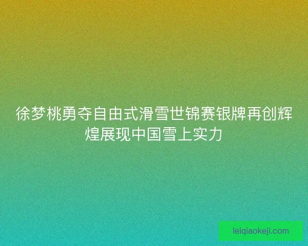 徐梦桃勇夺自由式滑雪世锦赛银牌再创辉煌展现中国雪上实力